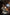 [Warehouse in Stock] Dtalon Studio - Statue - Overwatch - Tracer