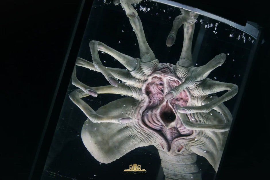 [Pre-Order] Deep Tale Studio - Statue - Alien - Facehugger Stasis Chamber