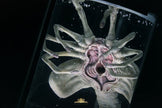 [Pre-Order] Deep Tale Studio - Statue - Alien - Facehugger Stasis Chamber