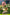 [Pre-Order Closed] WakuWaku Studio - Statue - Spy x Family - Spring Routine Anya Forger