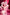 [Pre-Order Closed] Hobby Sakura Studio - PVC - Original - Staff Bunny Girl (Licensed)