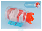 [Pre-Order] CHIKARA Studio  - Statue - Ponyo on the Cliff - Ghibli Desktop Collection 1/1 Ponyo Replica Bottle
