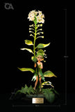 [Pre-Order] Orange Art Studio - Statue - Berserk - Shepherd's Purse flower Fairy