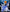 [Pre-Order Closed] Crazy Nest Studio - Statue - Digimon - Fox Flame Garurumon