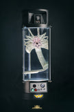 [Pre-Order] Deep Tale Studio - Statue - Alien - Facehugger Stasis Chamber