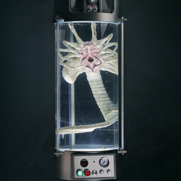 [Pre-Order] Deep Tale Studio - Statue - Alien - Facehugger Stasis Chamber