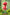 [Pre-Order Closed] GULUGULU Studio - Statue - Spy x Family - Anya cos Little Red Riding Hood
