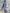 [Pre-Order] Doll Senior Studio - Sex Doll - Original - Dream 170cm Silicone Doll (Licensed)