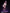 [Pre-Order Closed] Genius Bee Studio - Statue - Honkai: Star Rail - Maid Kafka