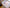 [US in Stock] 1/7  Ver. - Starry Sky Studio - Statue - Genshin Impact - Shenhe