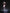[Pre-Order Closed] Genius Bee Studio - Statue - Blue Archive - Asuma Toki Bunny Girl
