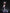 [Pre-Order Closed] Genius Bee Studio - Statue - Blue Archive - Asuma Toki Bunny Girl