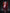 [Pre-Order Closed] Genius Bee Studio - Statue - Blue Archive - Asuma Toki Bunny Girl
