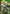 [Warehouse in Stock] MIMAN Studio - Statue - Digimon - Illustrated Scale 3rd Metal Etemon