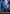 [Pre-Order] Prime 1 Studio - Statue - Ultimate Premium Masterline Fate/stay night - Saber UPMFSN-01 UPMFSN-01UTS (Licensed)