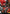 [Pre-Order] Prime 1 Studio - Statue - Ultimate Premium Masterline Hell's Paradise: Jigokuraku Gabimaru UPMJR-01 UPMJR-01S (Licensed)