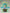 [Pre-Order Closed] Mimo Studio - Statue - Spy x Family - Tathagata Buddha Hatsune Miku
