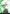 [Pre-Order] Prime 1 Studio - Statue - Concept Masterline Black Clover - Yuno CMBC-02 CMBC-02EX CMBC-02EXS (Licensed)