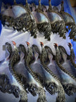 [Warehouse in Stock] S6 studio - Statue - Monster Hunter - #6 Black Eclipse Dragon (Gore Magala)