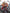 [Pre-Order] ZH Studio - Statue - Spy x Family - Anya cos Pain