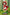 [Pre-Order Closed] GULUGULU Studio - Statue - Spy x Family - Anya cos Little Red Riding Hood