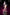 [Pre-Order Closed] TriEagles Studio - Statue - Original - Blazing Tail (Licensed)
