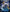 [Pre-Order Closed] Crazy Nest Studio - Statue - Digimon - Fox Flame Garurumon