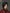 [Pre-Order Closed] CHOCOBO Studio - Statue - Resident Evil 4 - Ada Wong