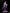 [Warehouse in Stock] HunYu Studio - Statue - Honkai: Star Rail - Black Swan