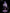 [Warehouse in Stock] HunYu Studio - Statue - Honkai: Star Rail - Black Swan