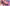 [Pre-Order] Dodomo Studio - Statue - My Dress-Up Darling - Bunny Girl Marin Kitagawa